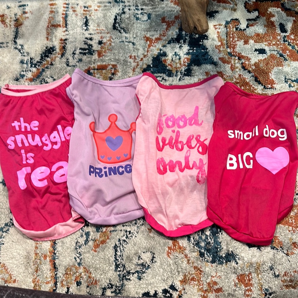 Dog Shirts 🐩